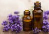 Lavender Oil Benefits for Healing