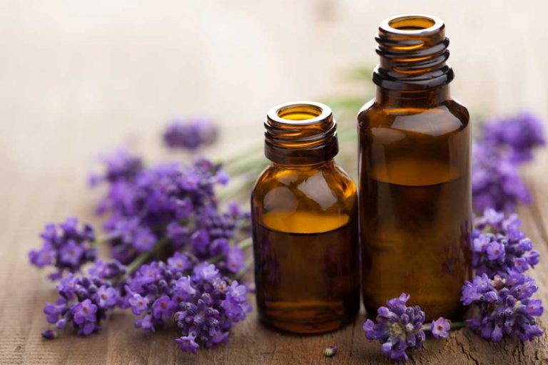 Lavender Oil Benefits for Healing