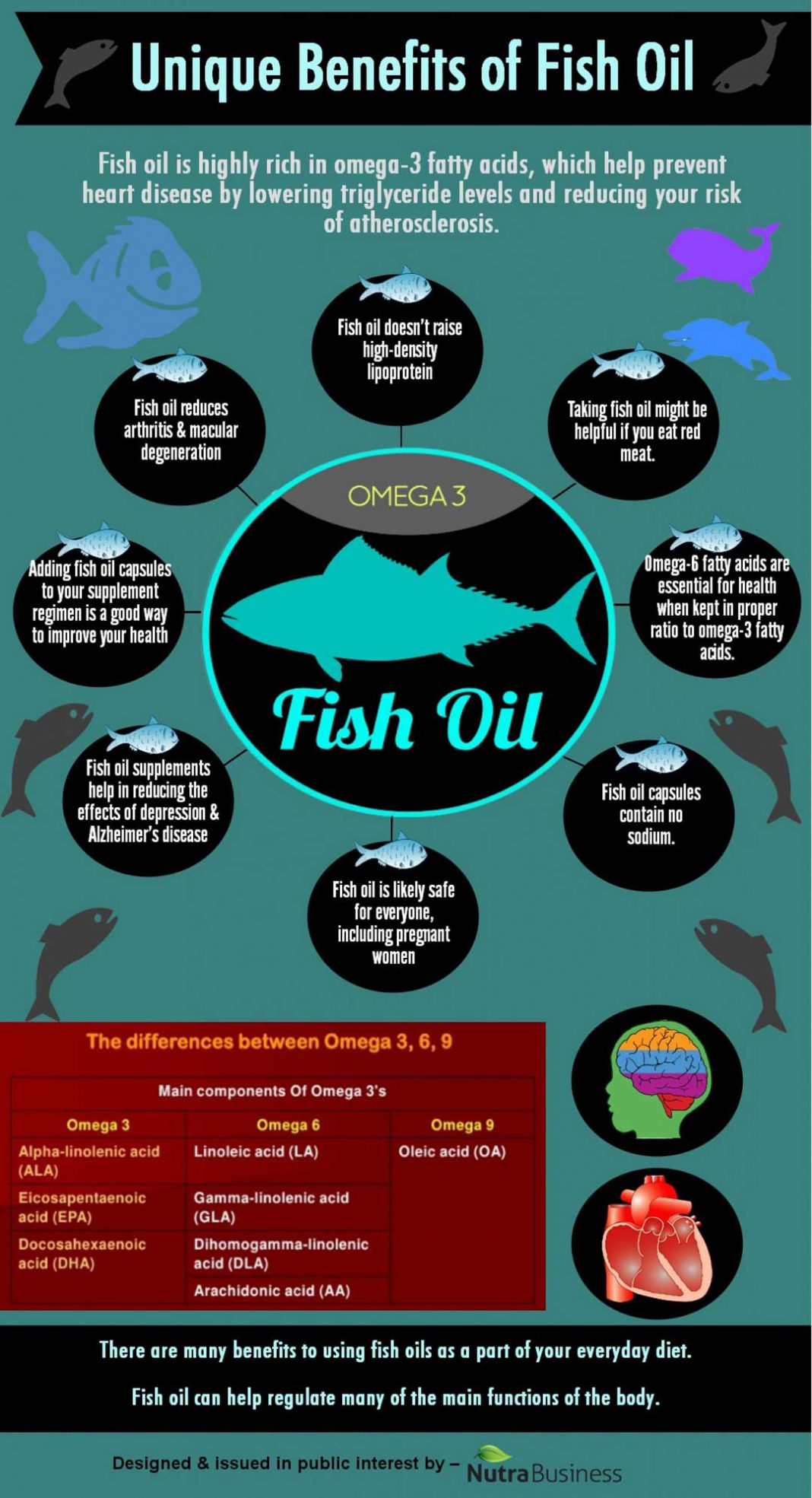 Fish Oil Facts, Sources, Health Benefits & Uses