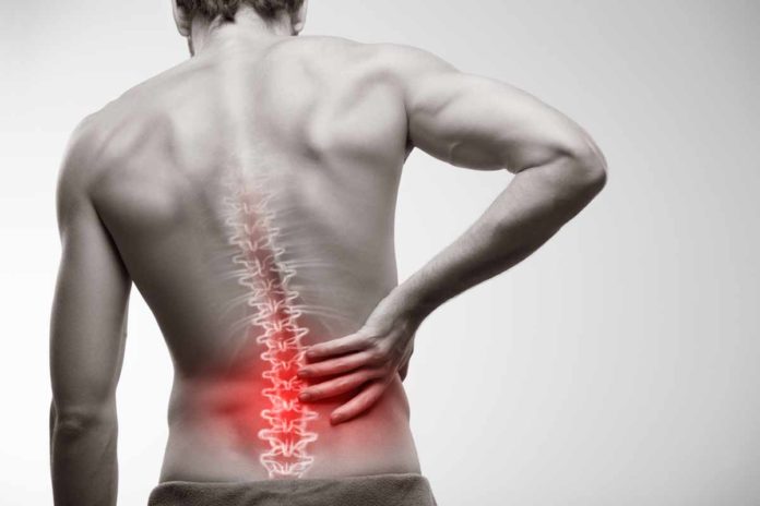 Lower Back Pain Causes The Symptoms and Treatment