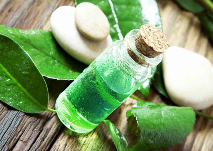 How to Use Tea Tree Oil for Beauty Breakout Crisis