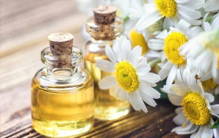 Chamomile Oil