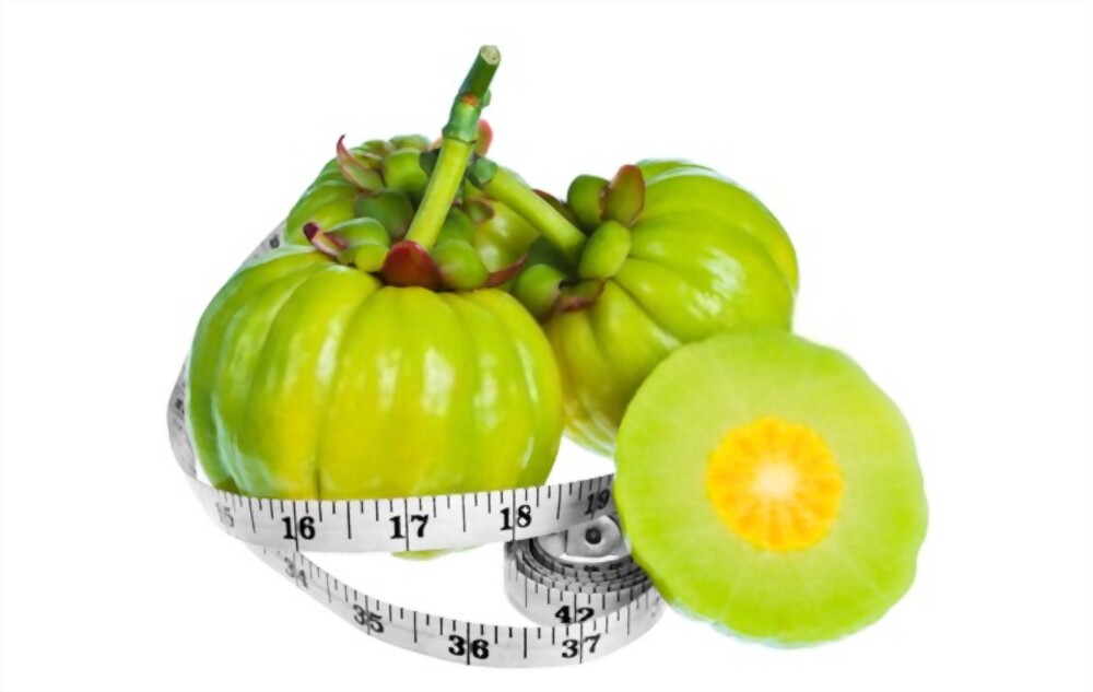 Garcinia Cambogia For Weight Loss | How Does Hydro Citric Acid & Serotonin Help