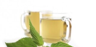 Nettle Tea - Health Benefits And Side Effects