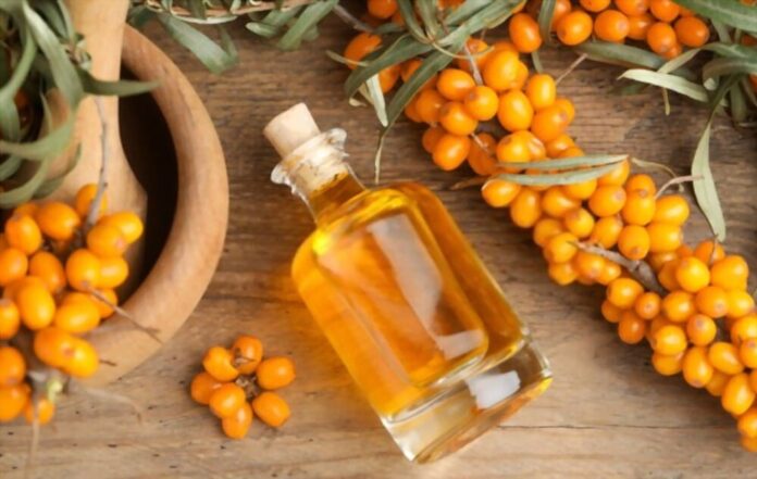 sea-buckthorn-oil-advice-and-therapy Sea Buckthorn Oil: Advice And Therapy