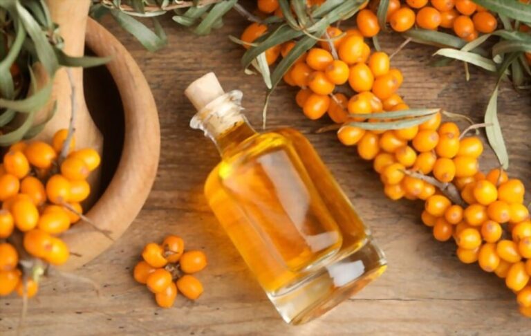 Sea Buckthorn Oil: Advice And Therapy